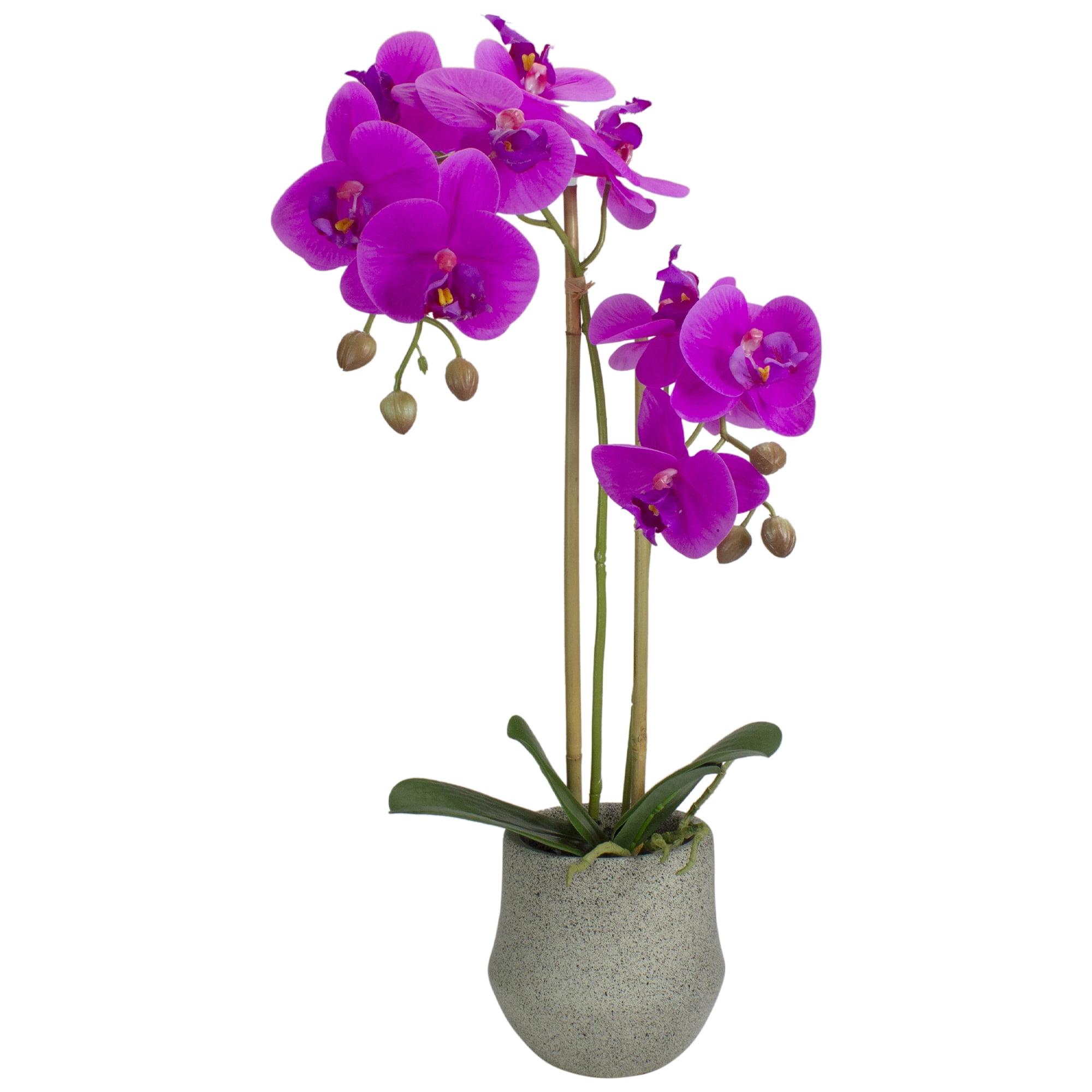 Northlight Real Touch™️ Purple Artificial Orchid Plant with a Gray Stone Pot - 14"