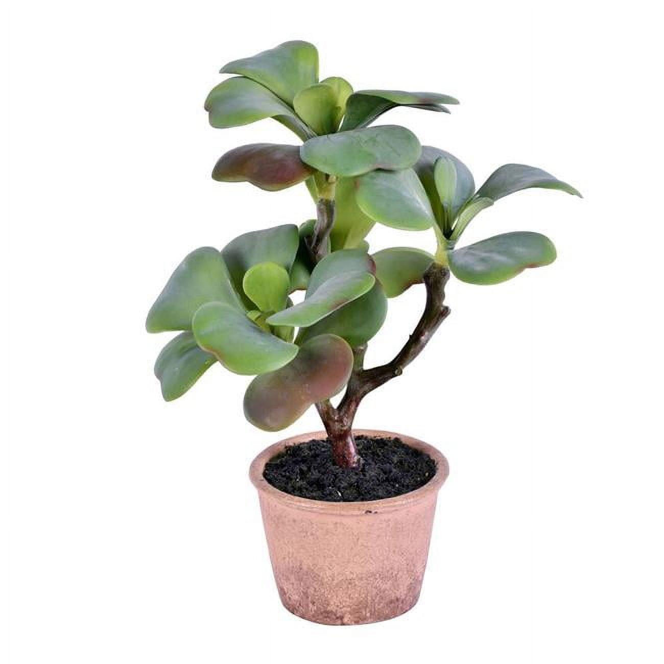 14" EverGreen Tabletop Plastic Succulent - Outdoor Centerpiece