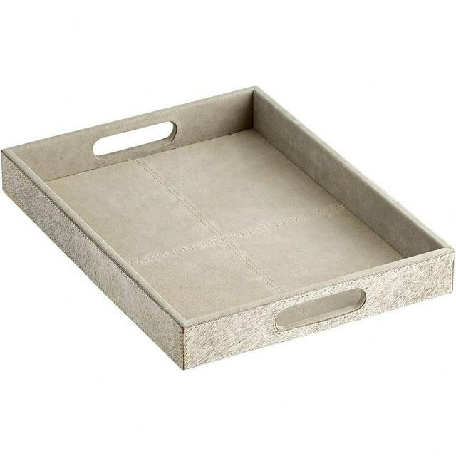 16.25 Inch Small Tray Cyan Lighting 10130