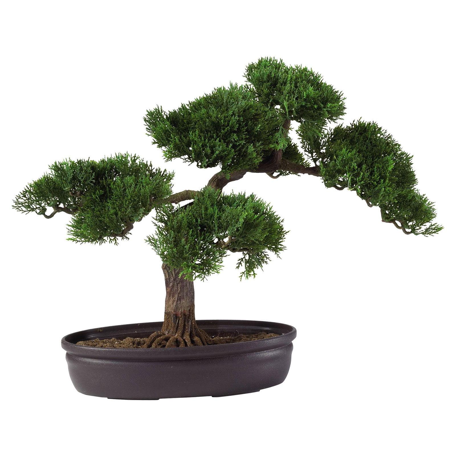 Nearly Natural 16-in Cedar Bonsai Silk Plant