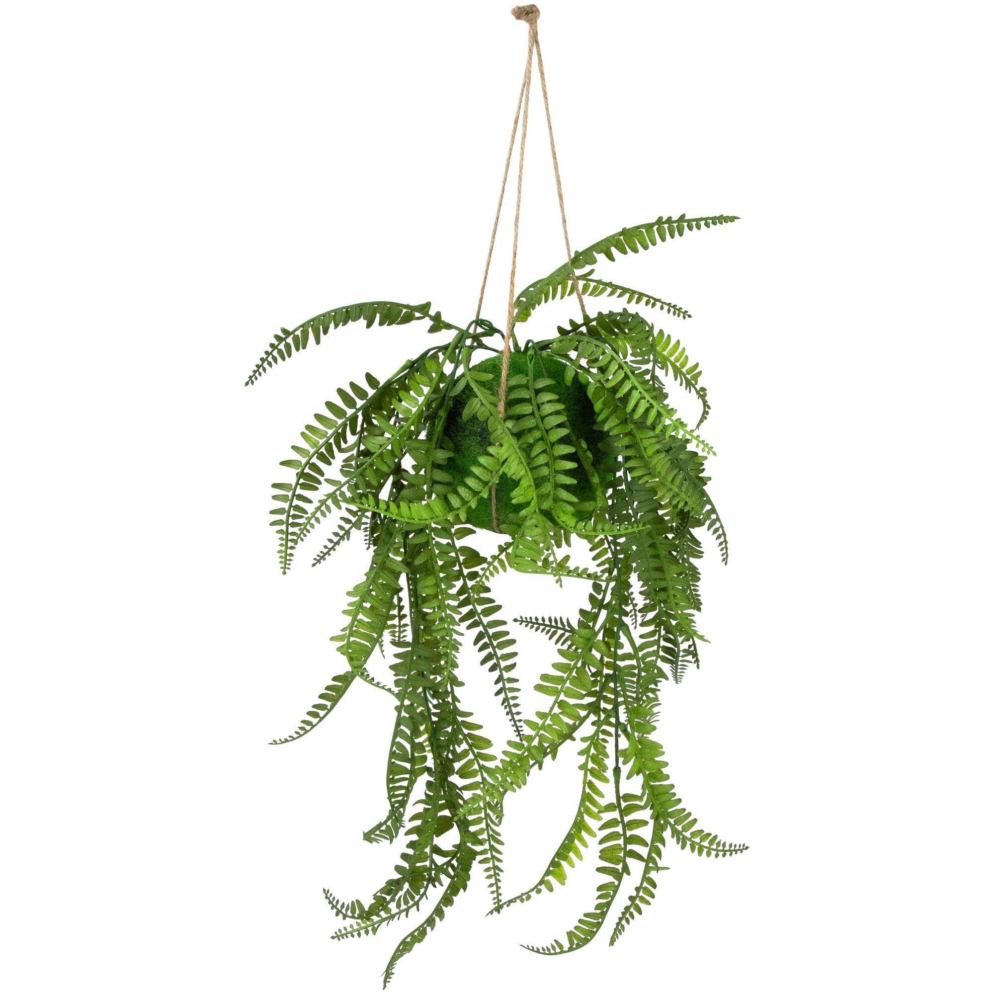 Northlight Seasonal 18'' Faux Fern Plant in Basket | Wayfair