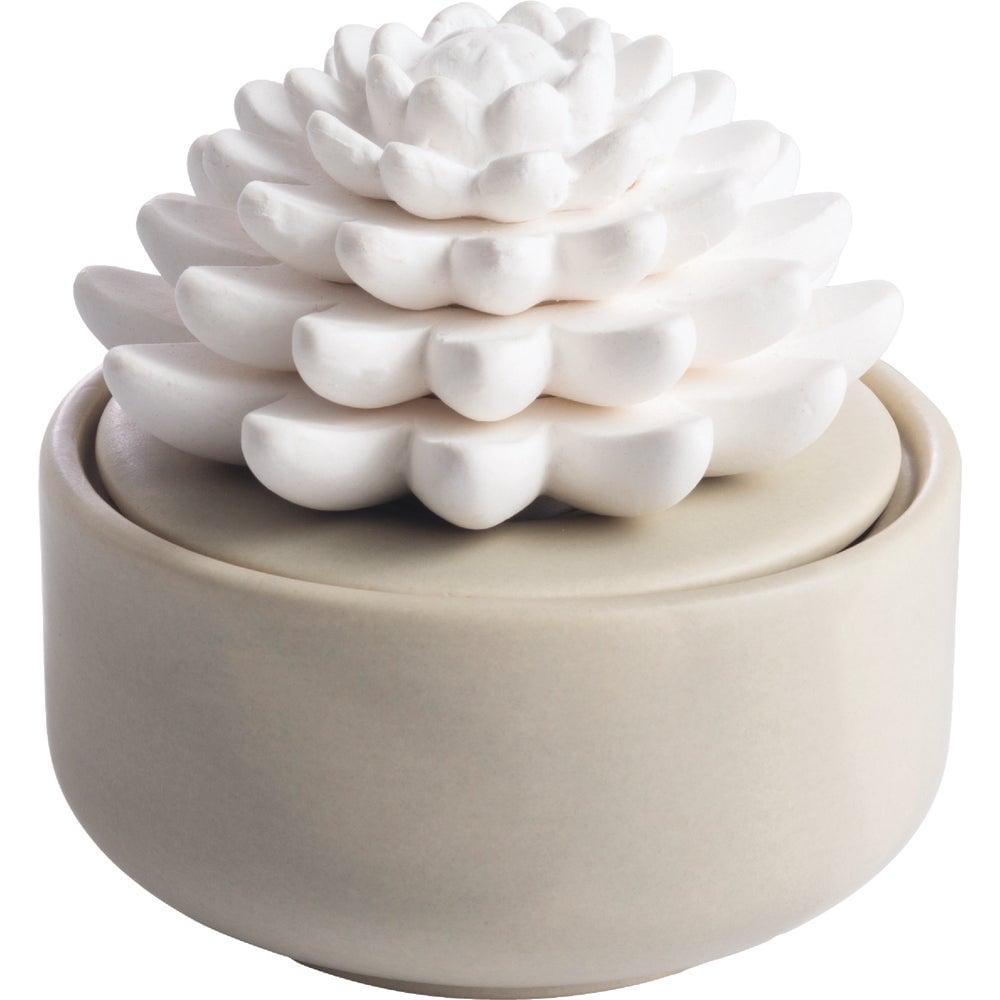 Warm Gray Matte Porcelain Succulent Electric Diffuser with Peppermint Oil