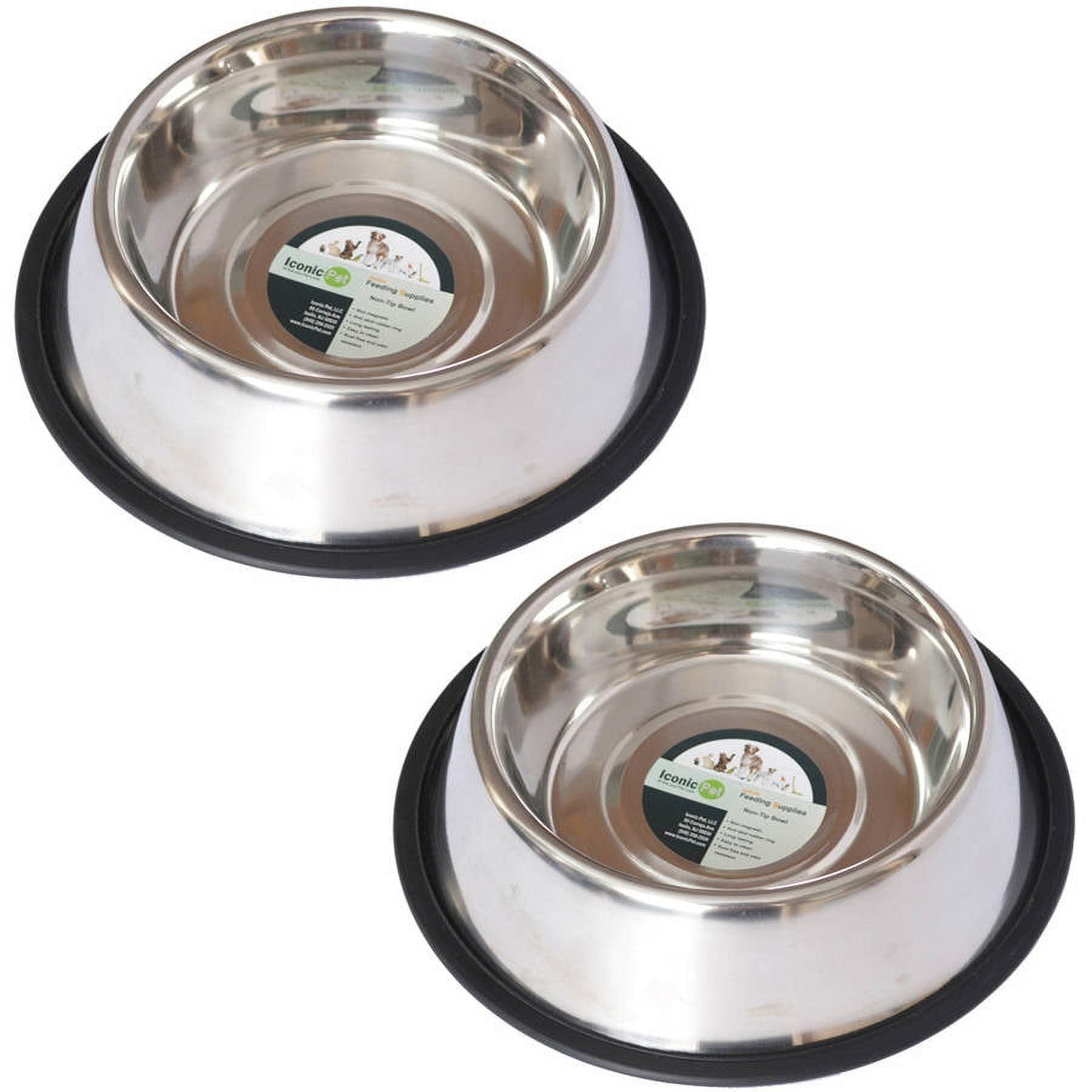 2 Cups Anti-Skid Pet Bowl (Set of 2)