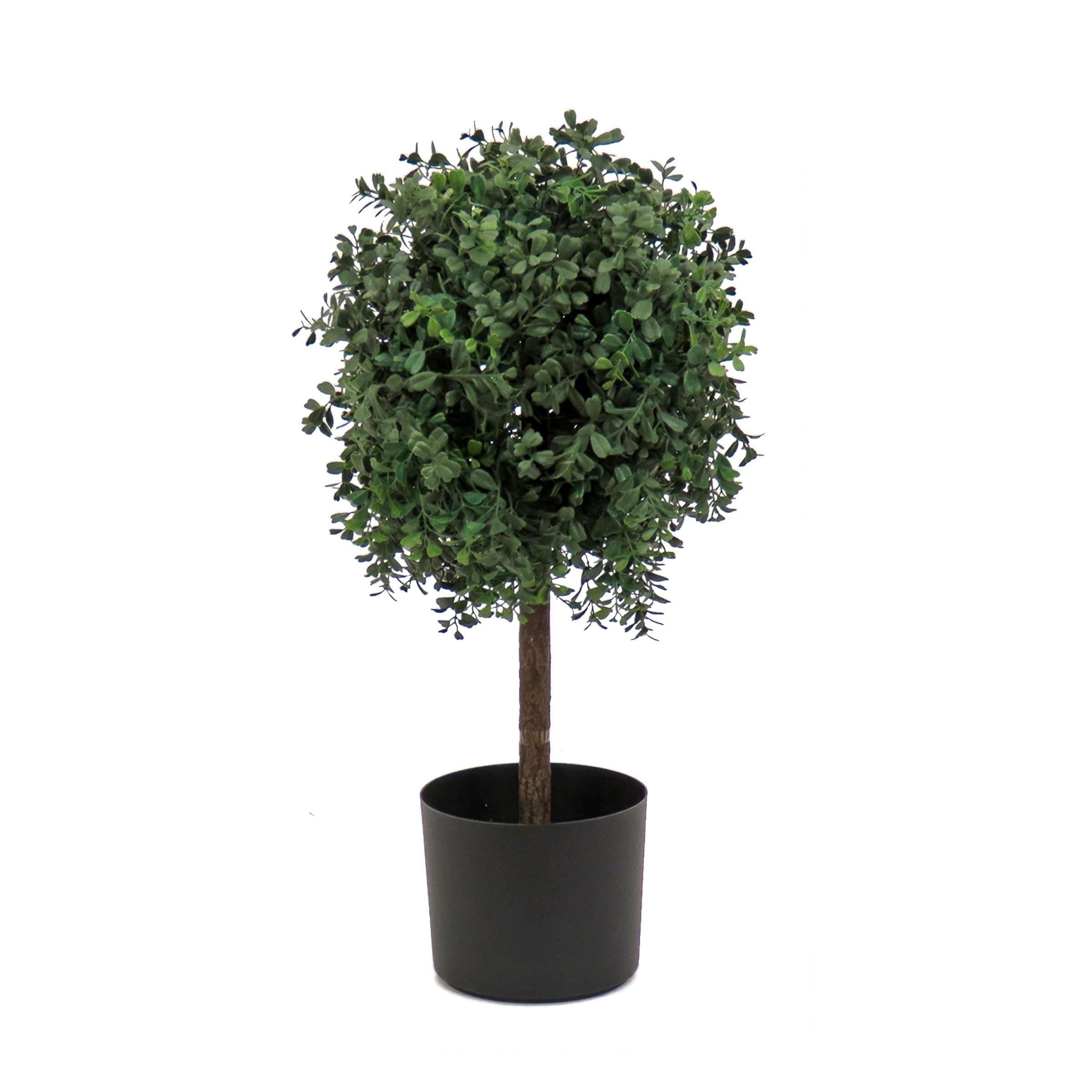 National Tree Company 24" Boxwood Single Ball Topiary in Nursery Pot Artificial Tree: Faux Plant Decor, No Maintenance Required