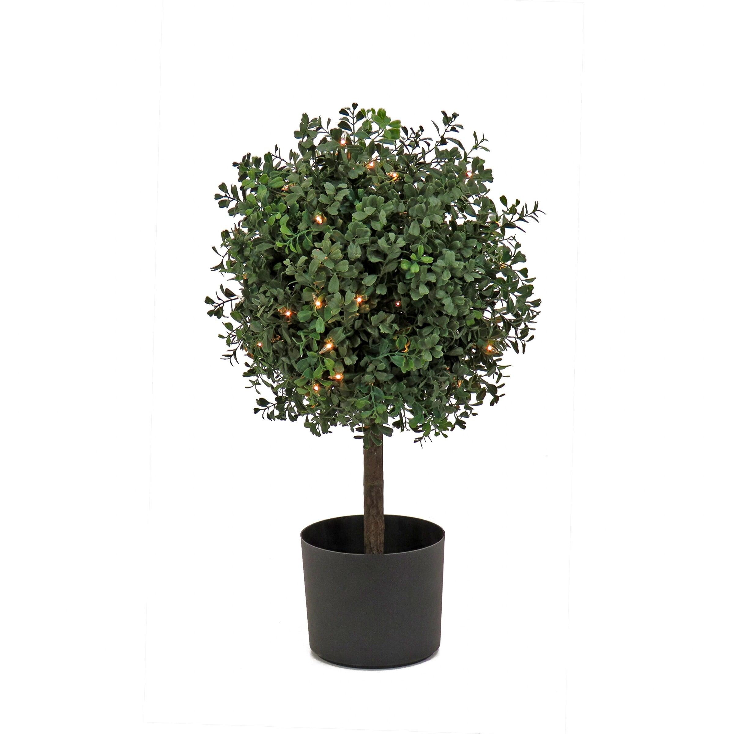 National Tree Company 24" Pre-Lit Boxwood Single Ball Topiary in Nursery Pot Artificial Tree: Faux Plant Decor, No Assembly Required