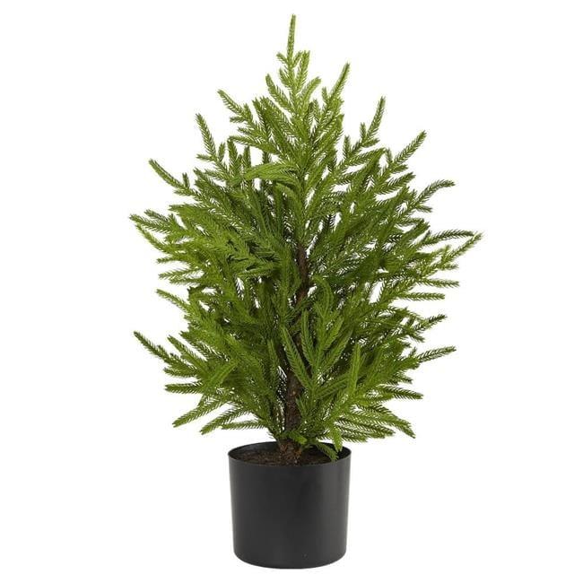 Primrue 2ft. Norfolk Island Pine Look Artificial Tree in Decorative Planter