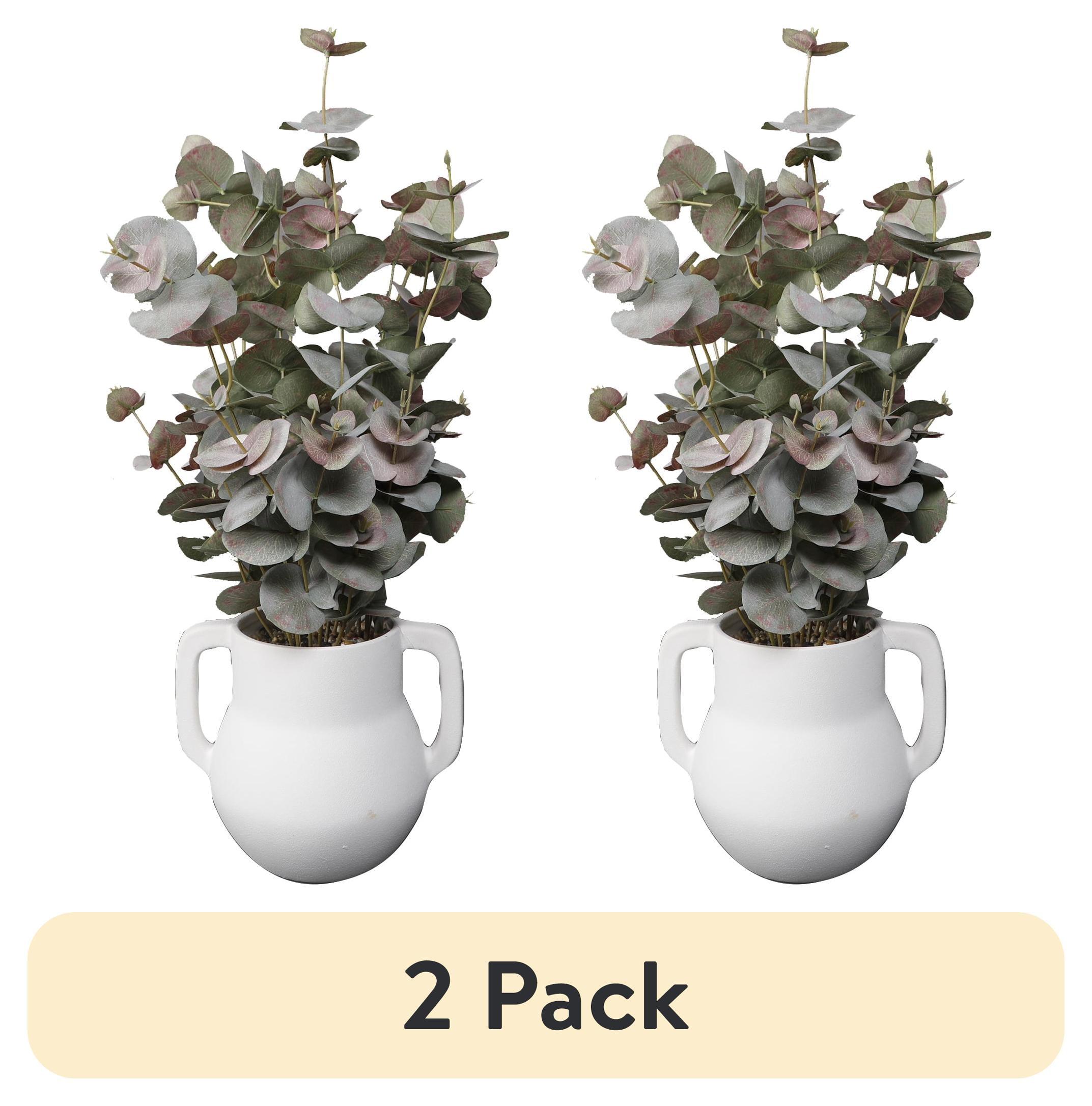 Home Decor Collection 21" Artificial Flora Bunda Eucalyptus in Sand White Ceramic Vase