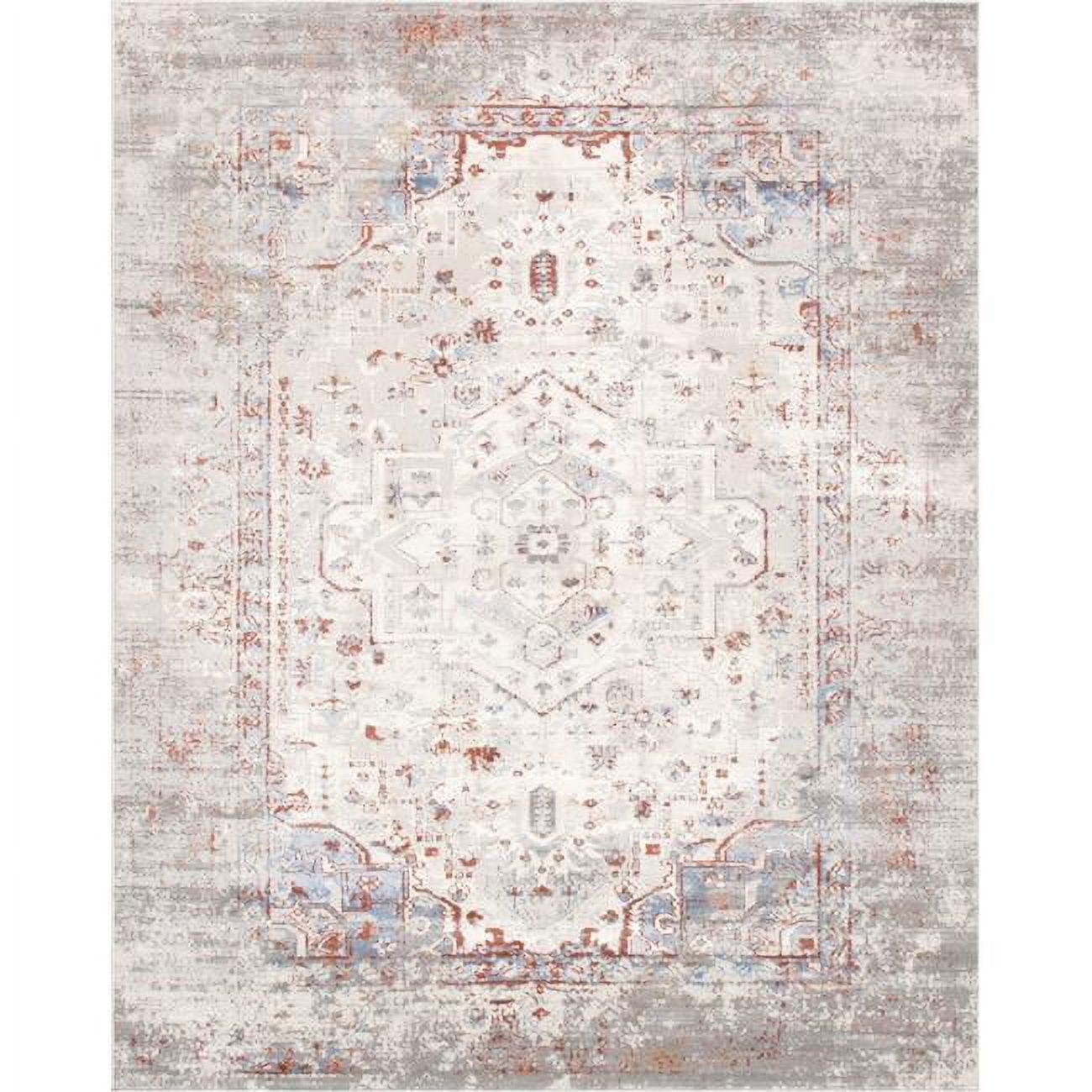 Efes Oriental Gray/Beige/Brown Area Rug