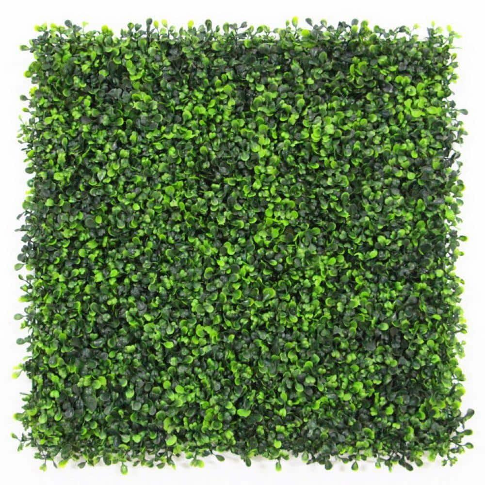 Bibana 12 Pieces 20"x 20" Artificial Boxwood Panels Topiary Hedge Plant, Privacy Hedge Screen Sun Protected Suitable for Outdoor, Indoor, Garden, Fence, Backyard and Decor (12PCS)