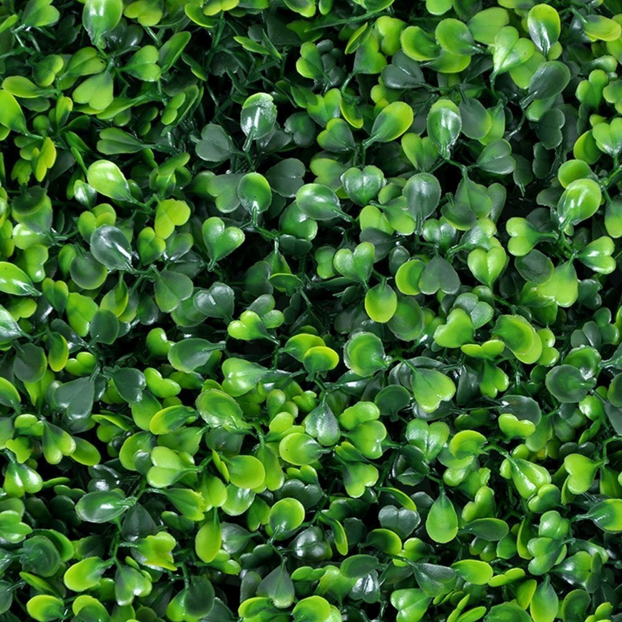 20-Inch Milan Artificial Boxwood Hedge Panels, 12-Piece Set