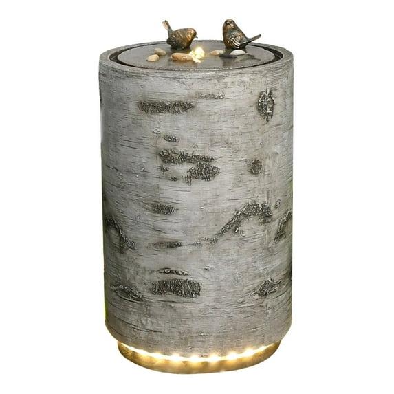 Hi-Line Gift Ltd. 21.5" H Bird Bath Fountain with Warm White LEDS