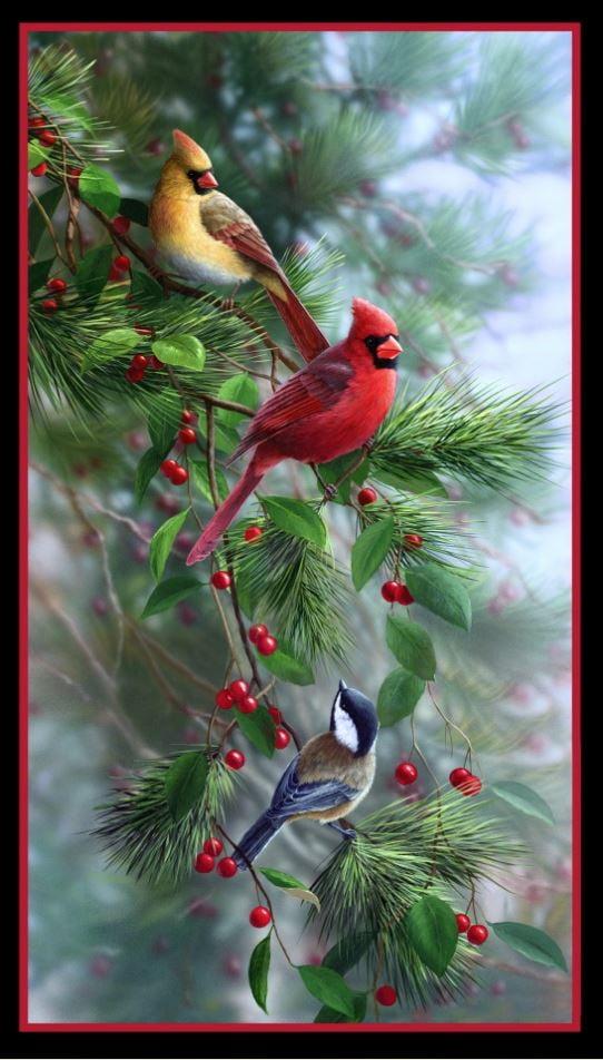 24" X 44" Panel Birds and Berries Christmas Winter Holiday Seasonal Holly Ivy Pines Needles Cones Trees Black Cotton Fabric Panel (40003BLACK)