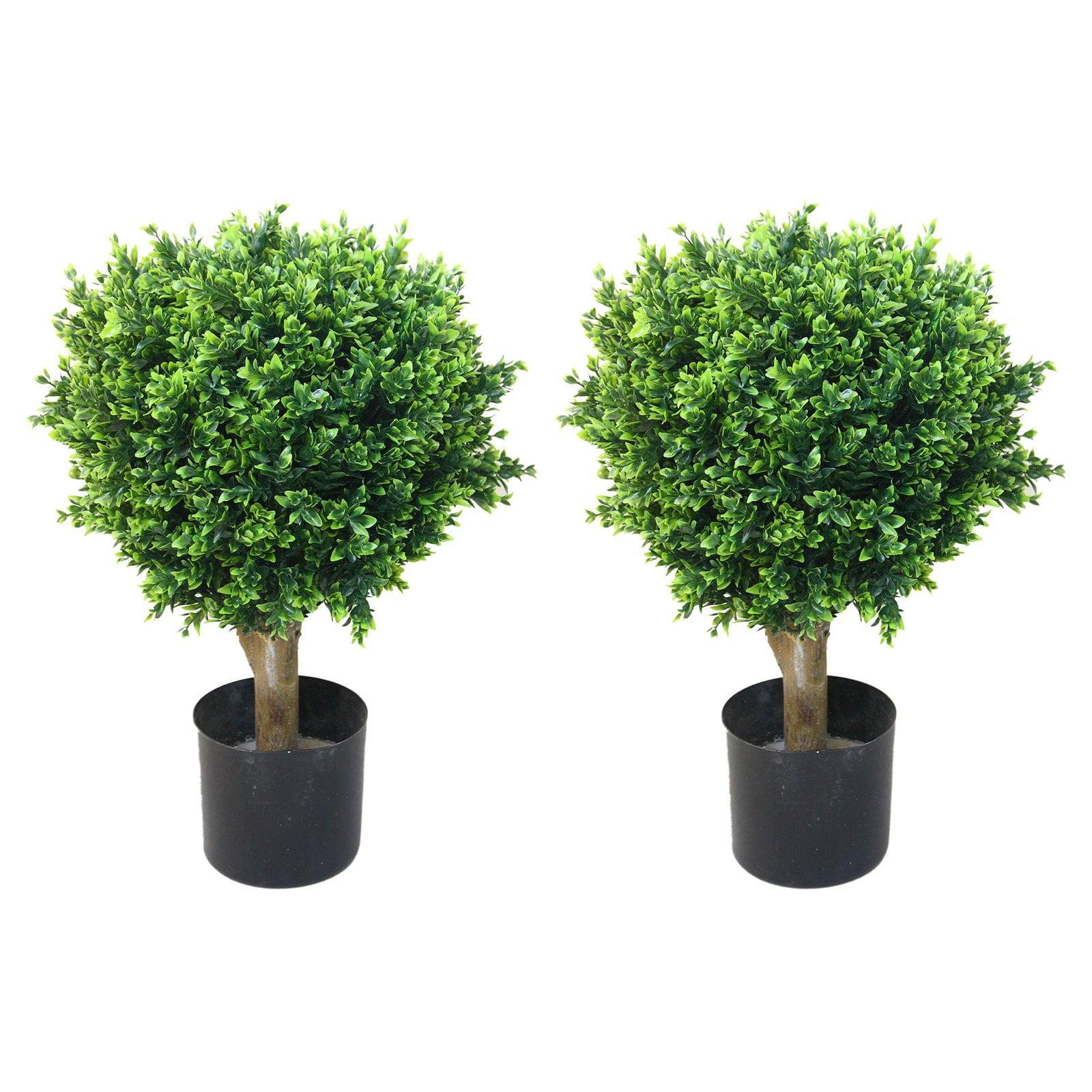 24" Romano Boxwood Sphere Topiary in Black Plastic Pot - Set of 2