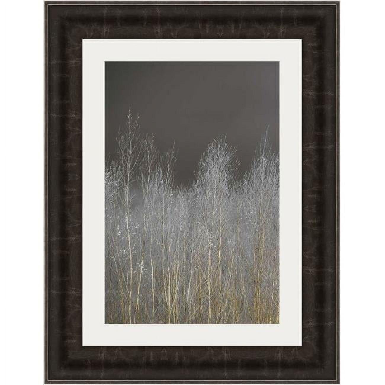 25 x 19 Silver Forest I Framed Landscape Print