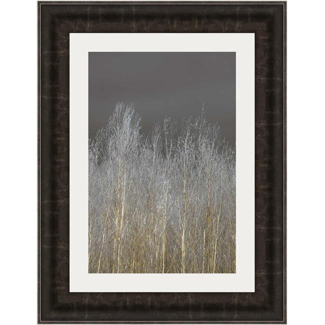 25 x 19 Silver Forest I Framed Landscape Print