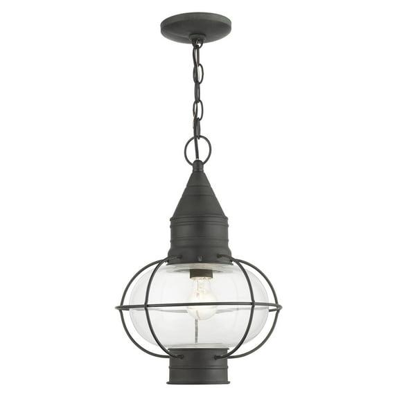 Livex Lighting Newburyport 1 - Light Pendant in  Charcoal