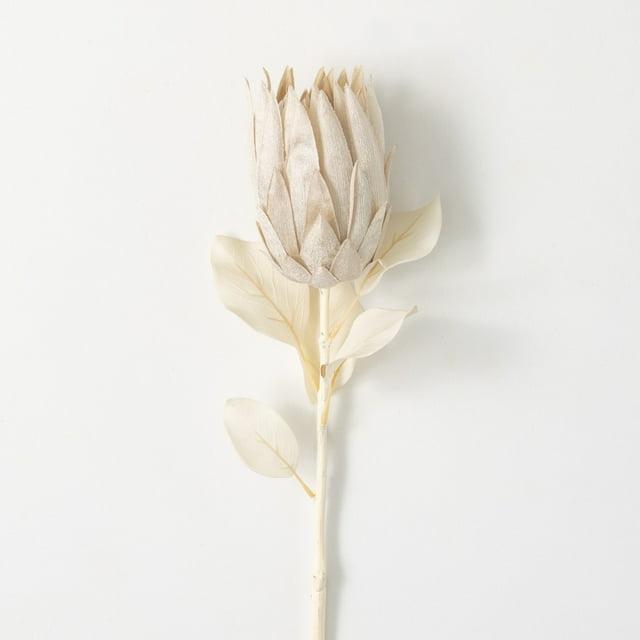 29"H Sullivans Natural Pale Cream Protea, Cream