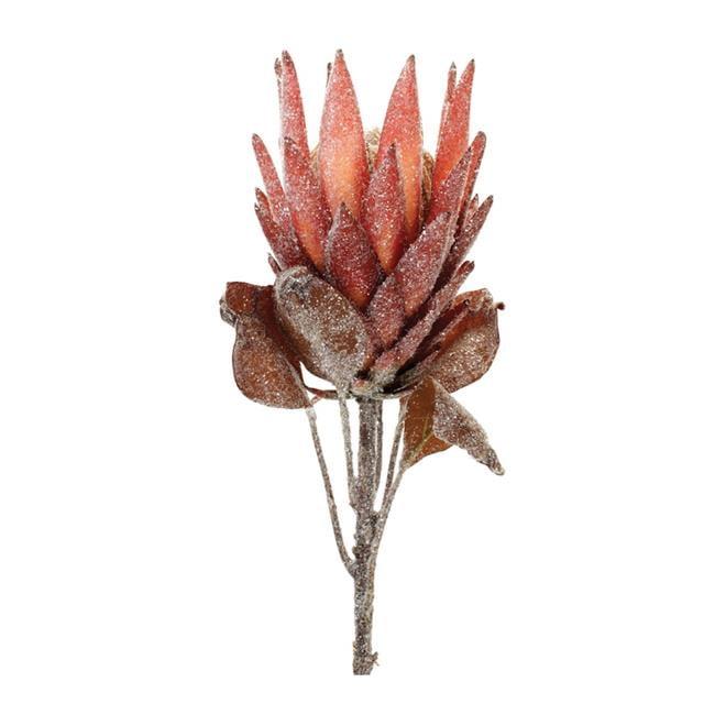 Protea Flower Stem (Set of 2) (Set of 2)