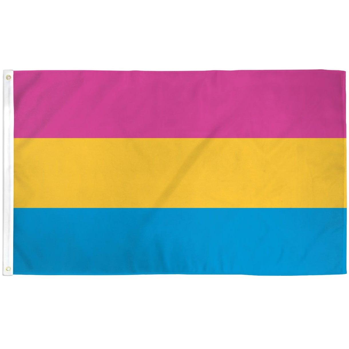 2x3 Multicolor Pansexual Pride Polyester Flag