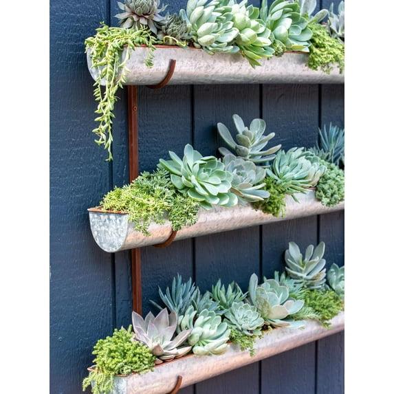 Gardener's Supply Company 3-Tier Galvanized Vertical Wall Planters | Indoor Outdoor Sturdy Metal Wall Mounted Flower & Herbs Hanging Planter Display (3-Pack with Bracket)