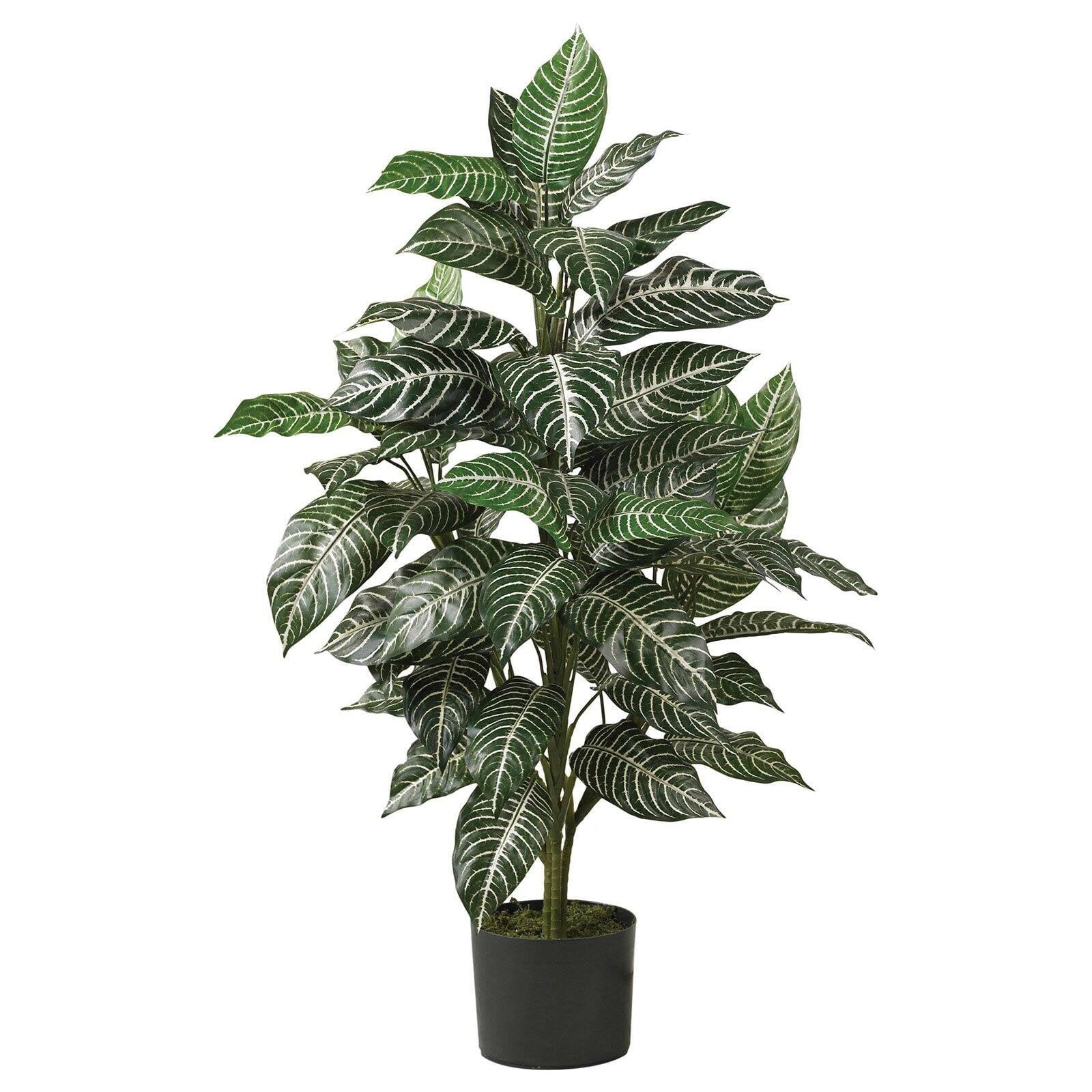 36" x 20" Artificial Zebra Silk Plant in Wicker Pot - Nearly Natural: Indoor Floor Plant Decoration