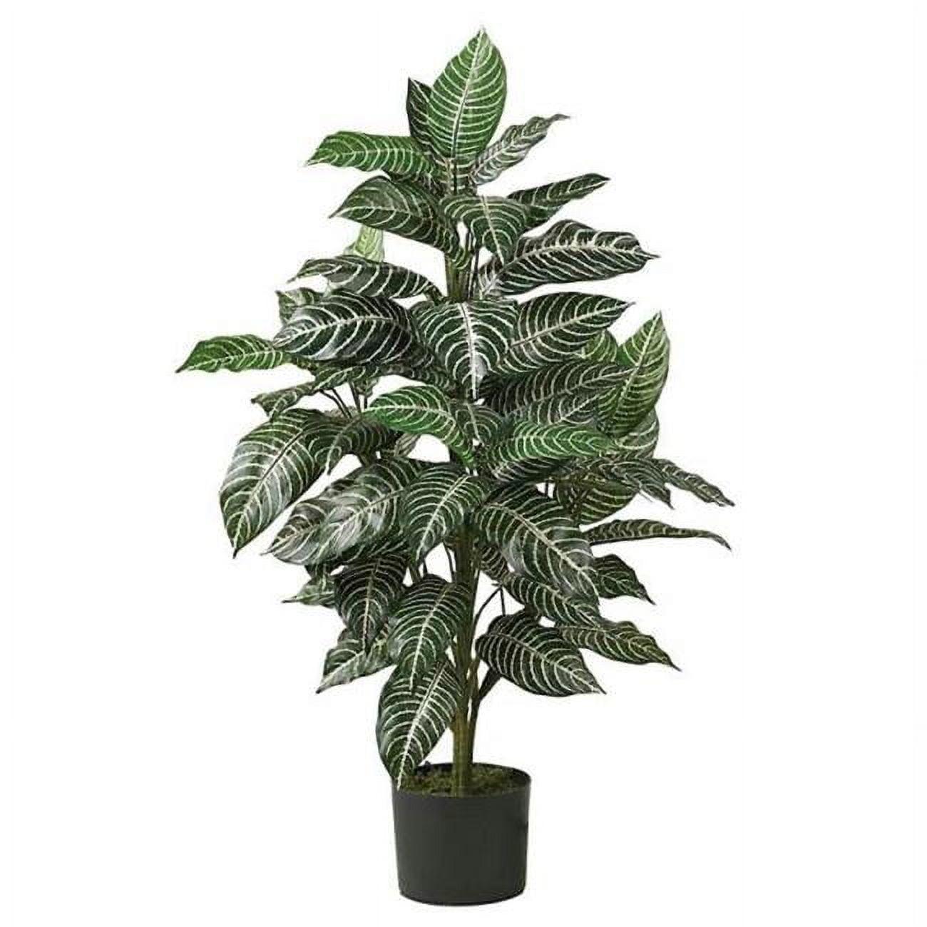 42" Green Silk Zebra Plant in Wicker Pot