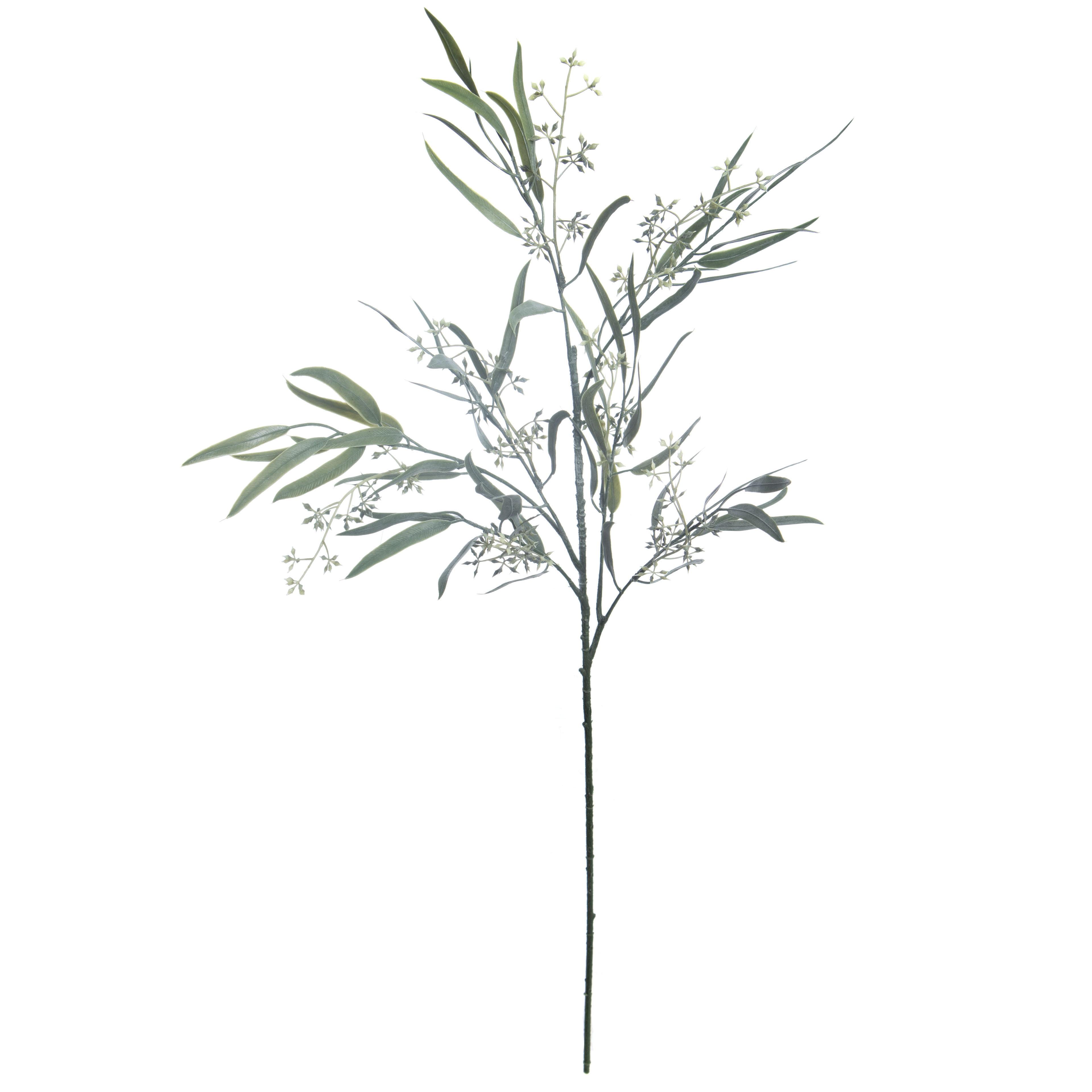 32" Green Seeded Willow Eucalyptus Stem by Ashland® - Spring Floral and Greenery