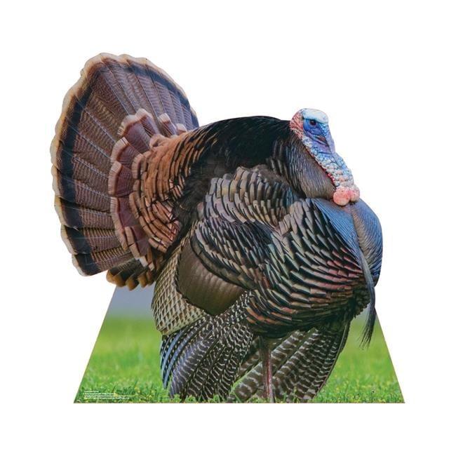 Life-Size Wild Turkey Cardboard Cutout with Easel