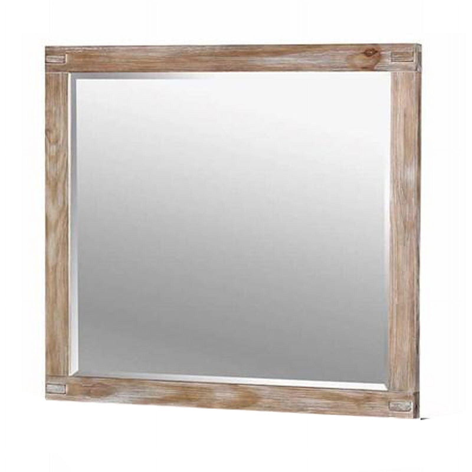 Transitional Full-Length Rectangular Brown Wood Mirror