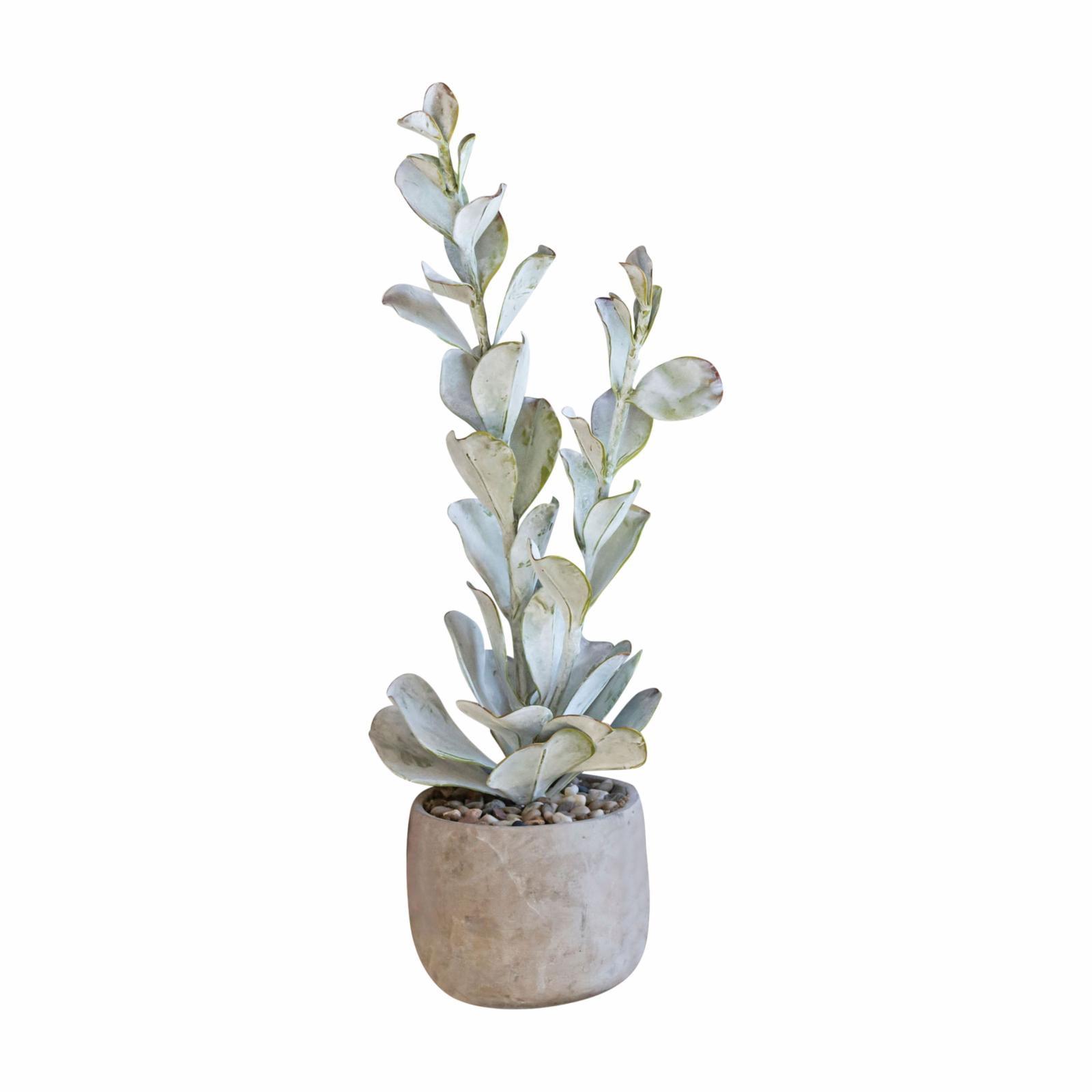 23&#34; x 6&#34; Artificial Faux Succulent Plant in Cement Pot - Storied Home