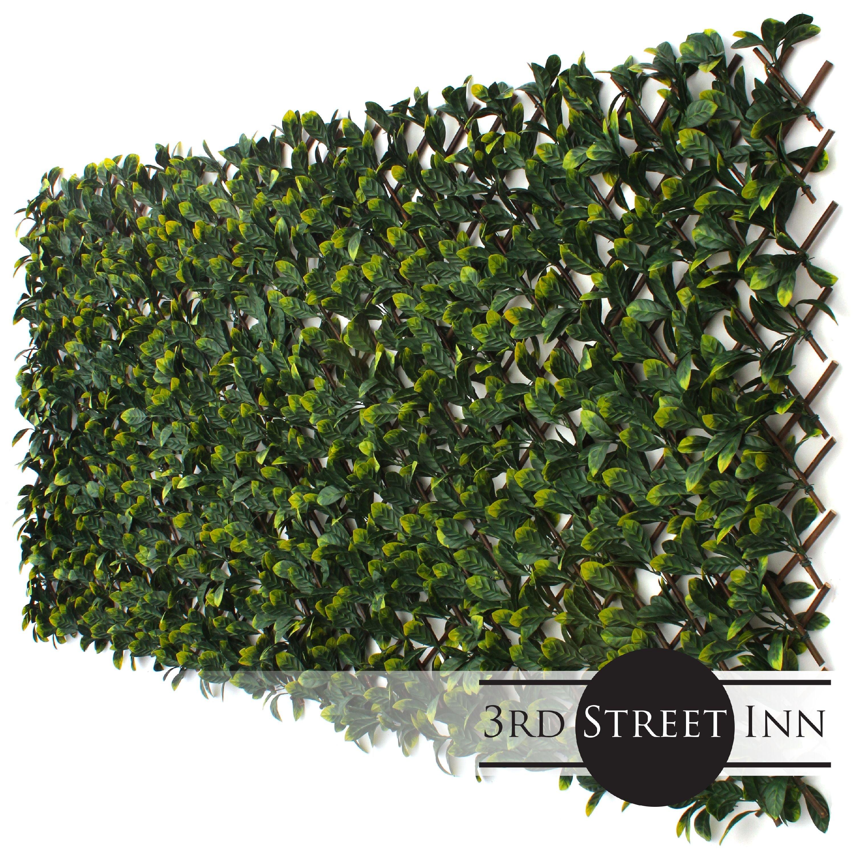 3rd Street Inn 1.6 ft. H x 9 ft. W Bamboo Privacy Screen (Set of 4)