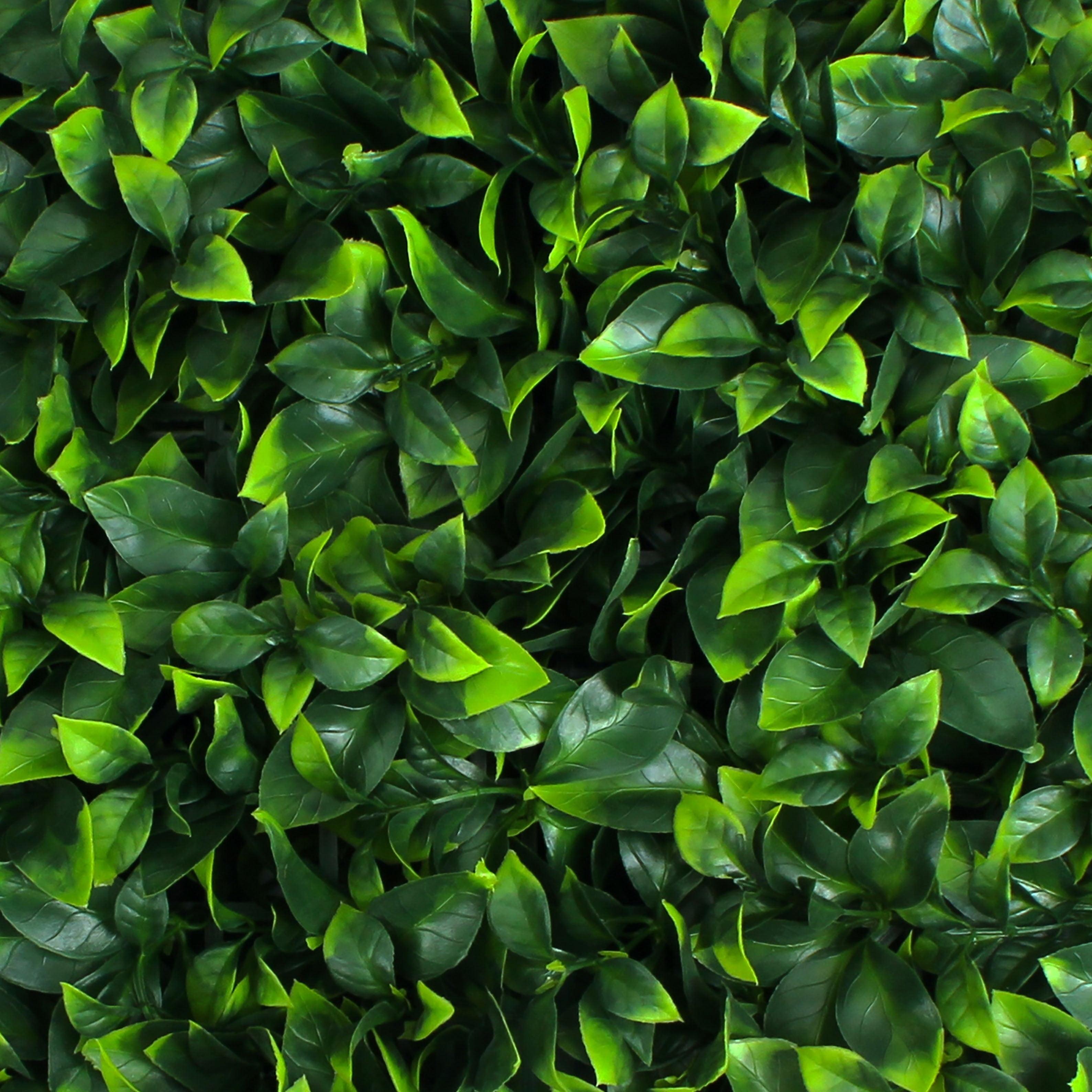 2'' Faux Boxwood Hedge