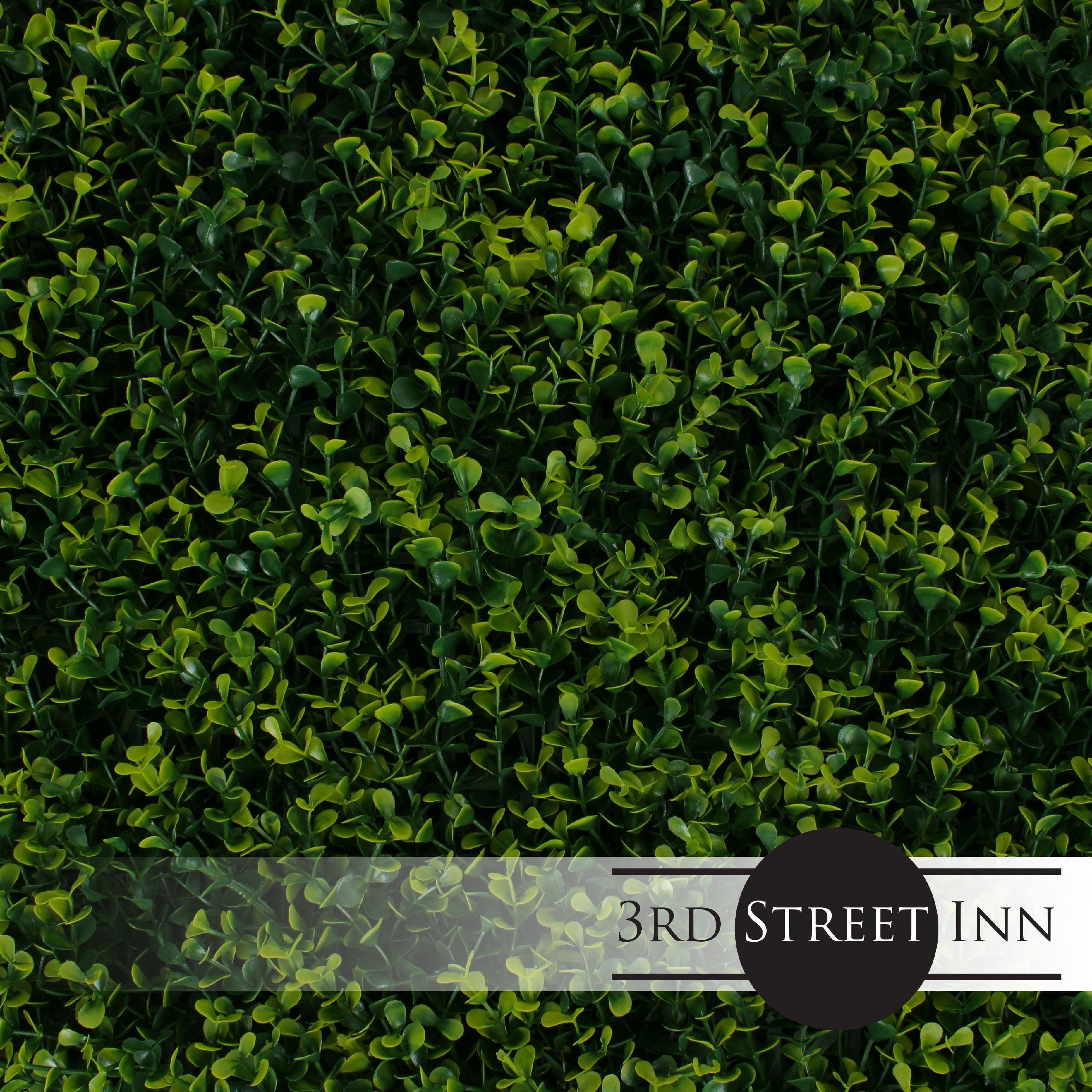3rd Street Inn 2'' Faux Boxwood Hedge (Set of 2)