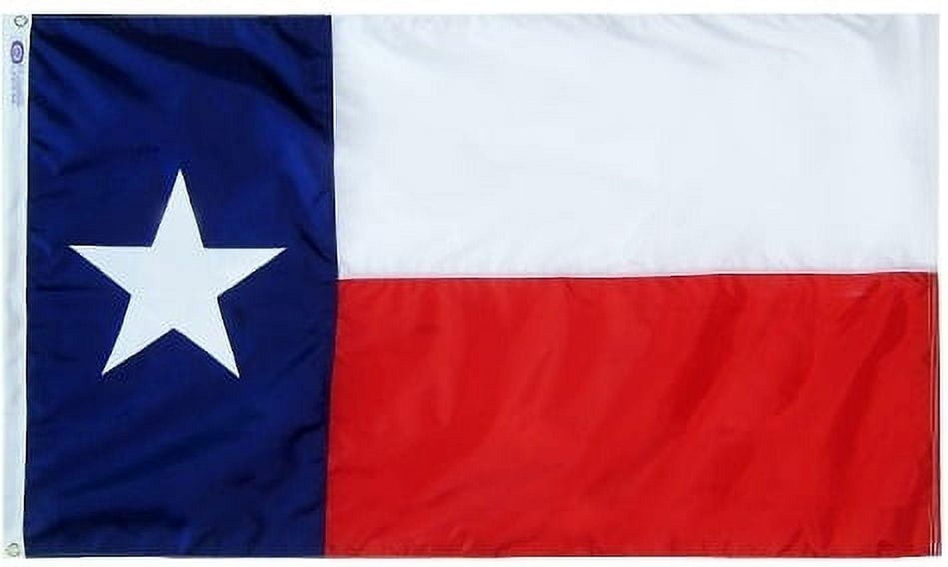 Texas Flag Sleeved TX State Flags 3x5 Outdoor Embroidered Star Heavy Duty Nylon Sleeve with Vivid Color