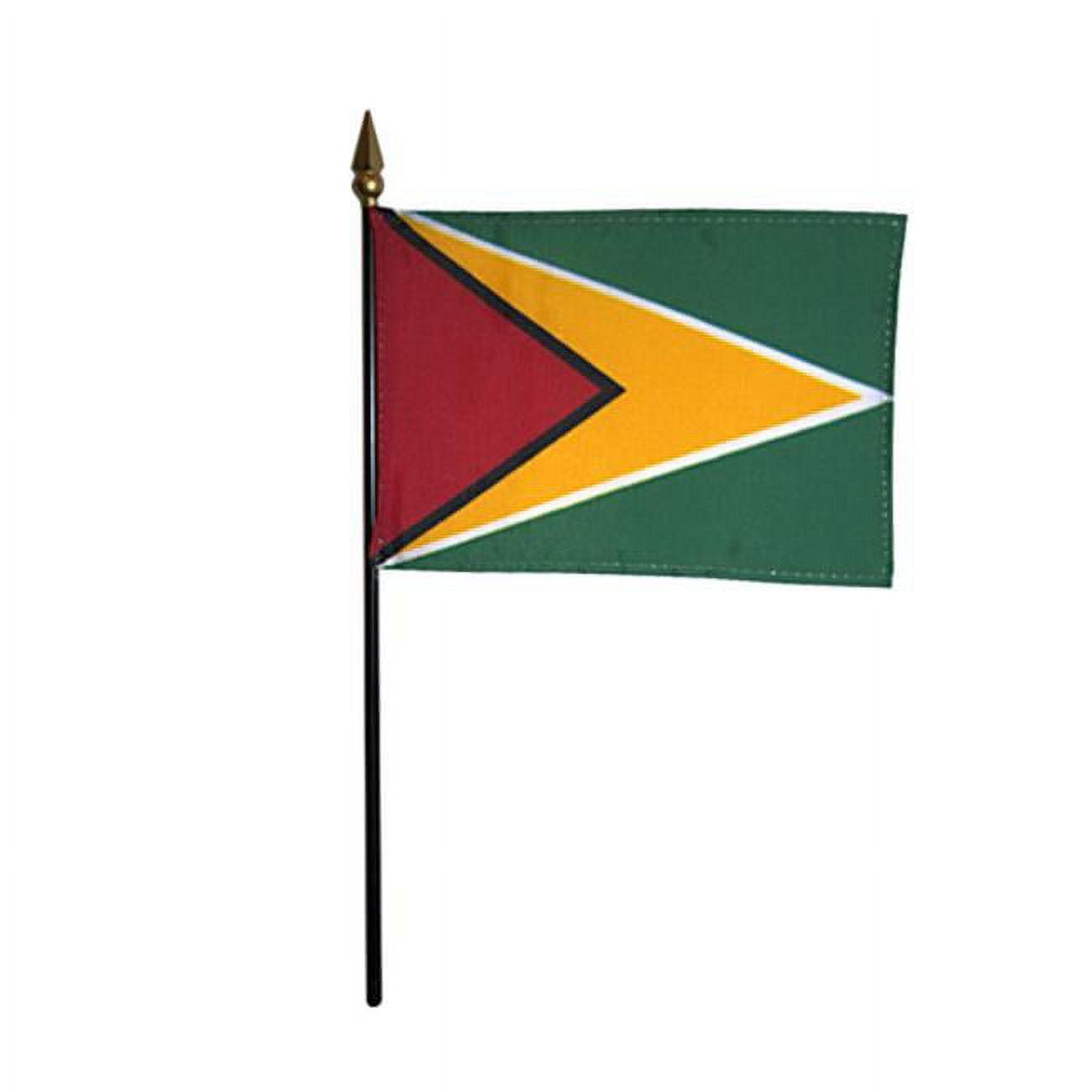 4 x 6 Inch Guyana Polyester Flags with Plastic Sticks, 12 Pack