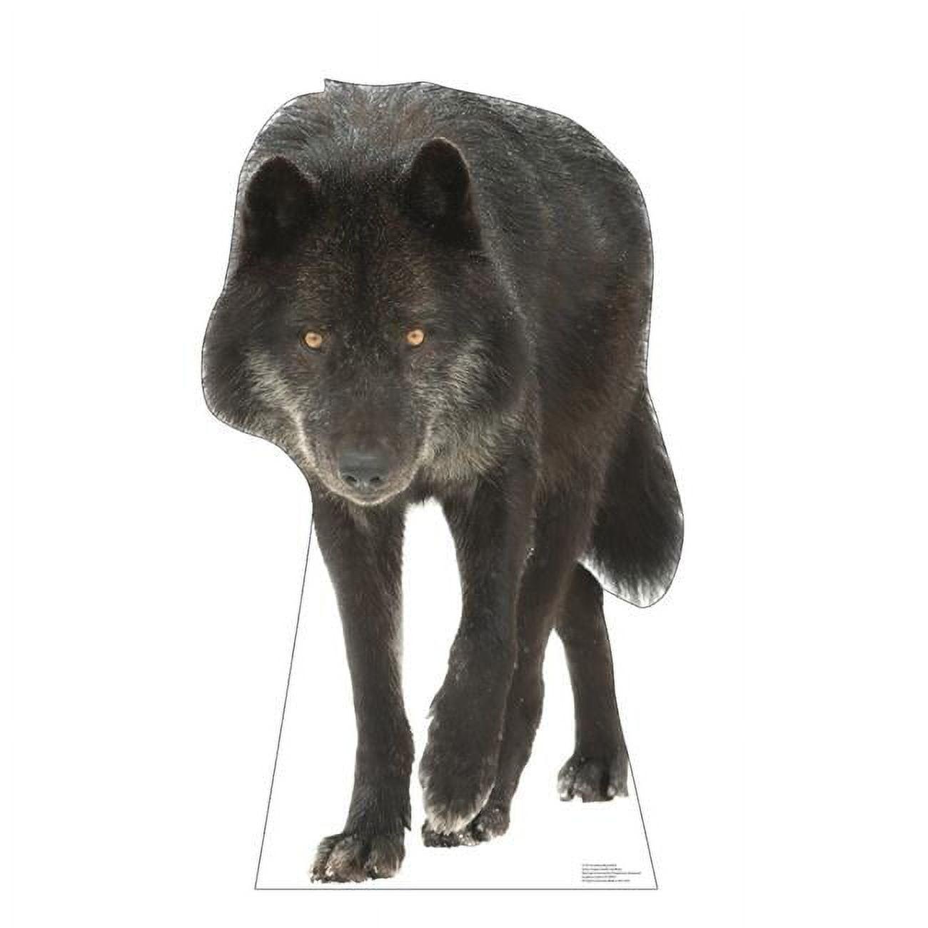 Life-Size Canadian Black Wolf Cardboard Cutout Standee