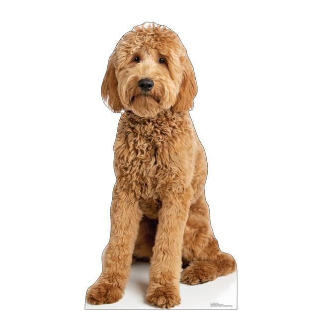 Life-Size Goldendoodle Cardboard Cutout with Easel Back