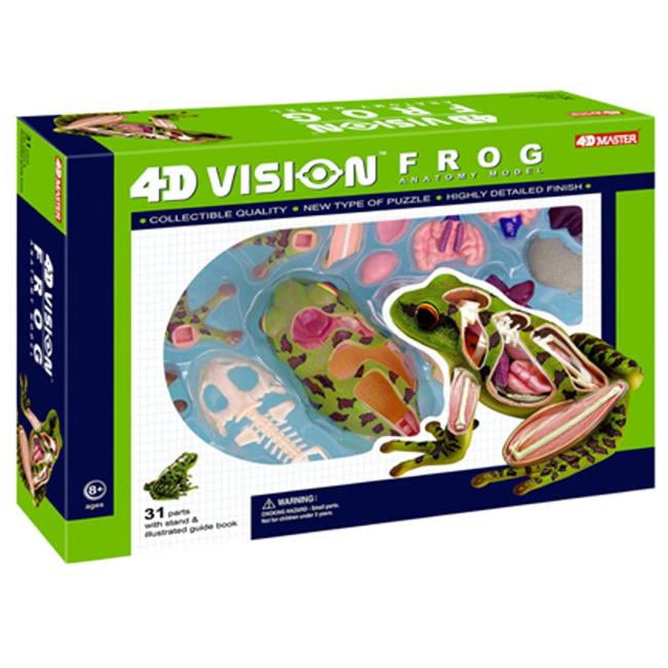 4D Vision Frog Anatomy Model Kit with Detachable Parts