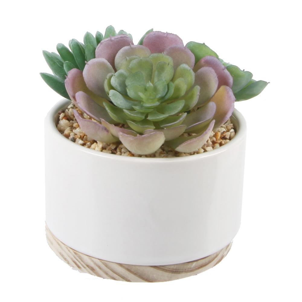 5" Artificial Green Succulent in White Ceramic Planter with Wood Base