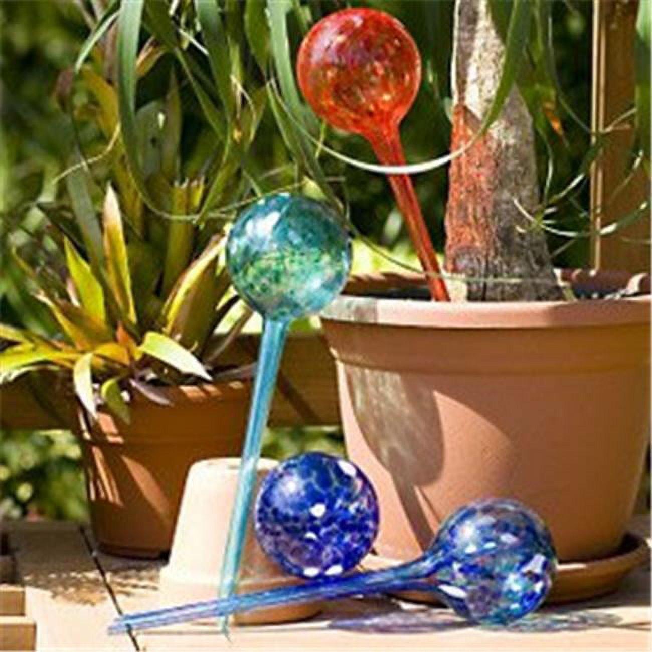 Large Hand Blown Glass Plant Watering Globes Set