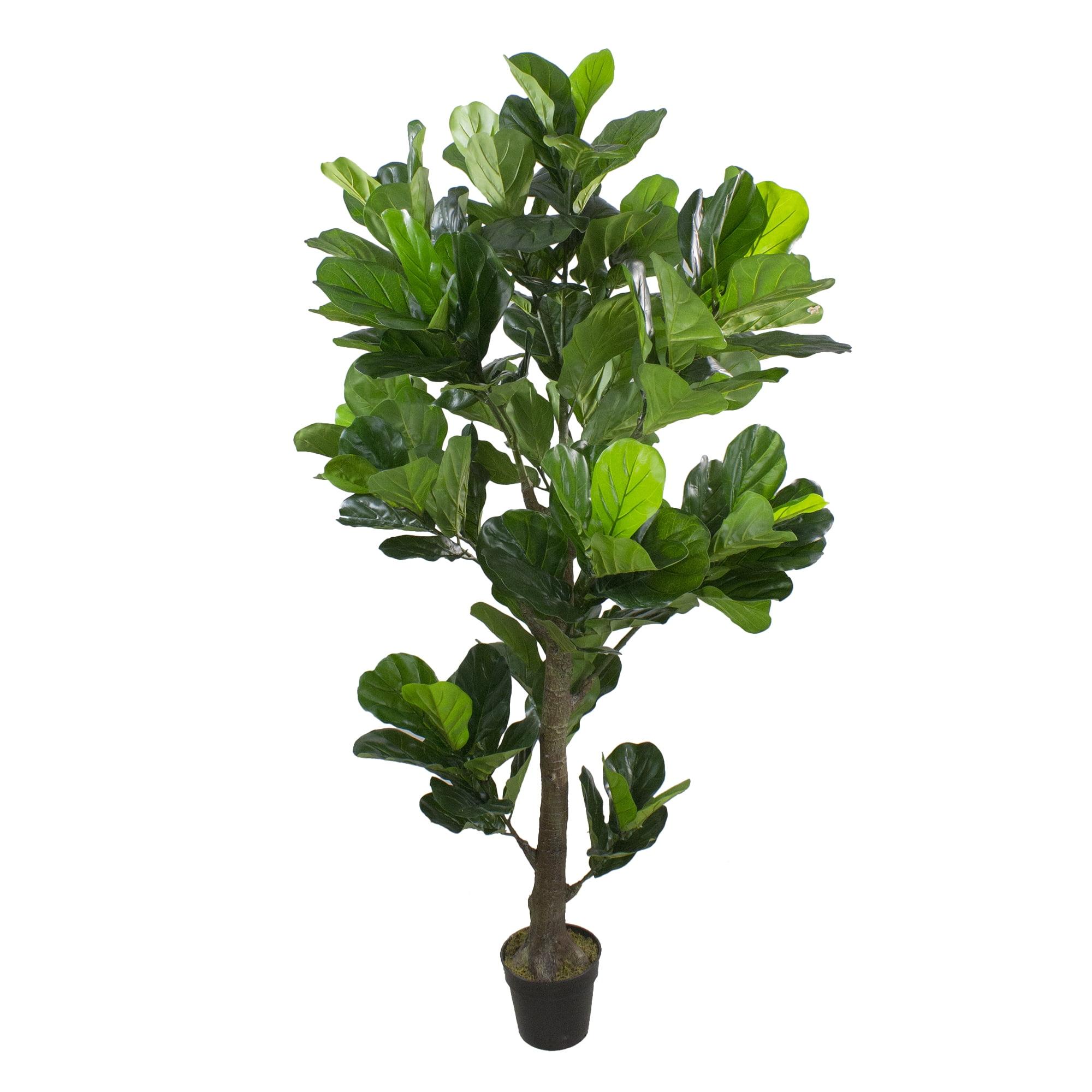 6.25' Potted Two Tone Green Artificial Fiddle Leaf Fig Tree