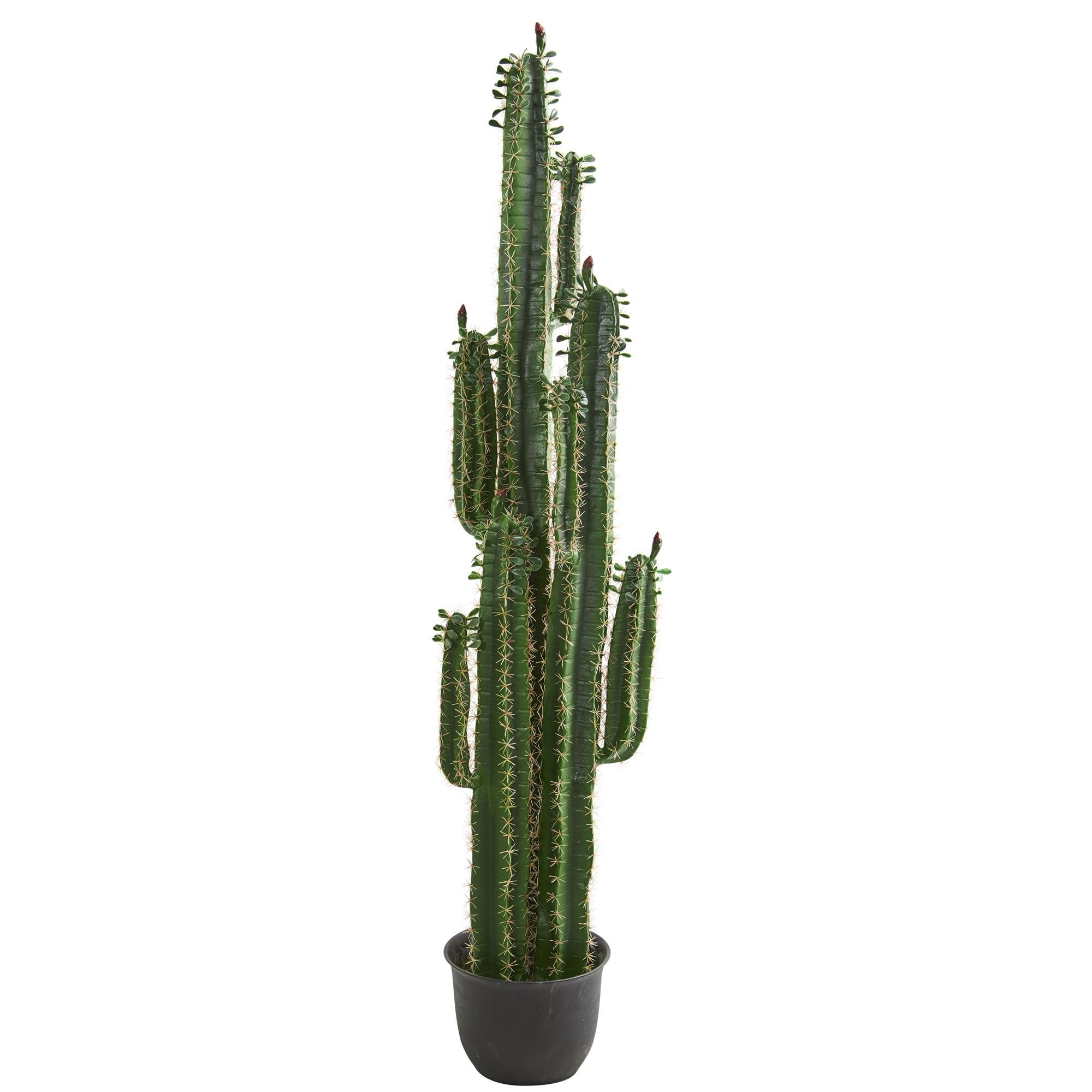 Lifelike Green Spined 6.5-ft Outdoor Potted Cactus