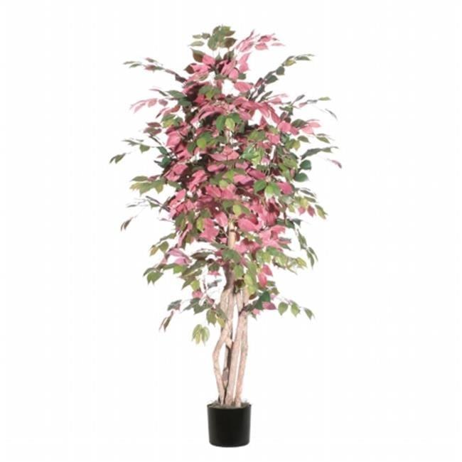 Capensia Silk & Fir 6' Potted Executive Tree in Black Plastic Pot