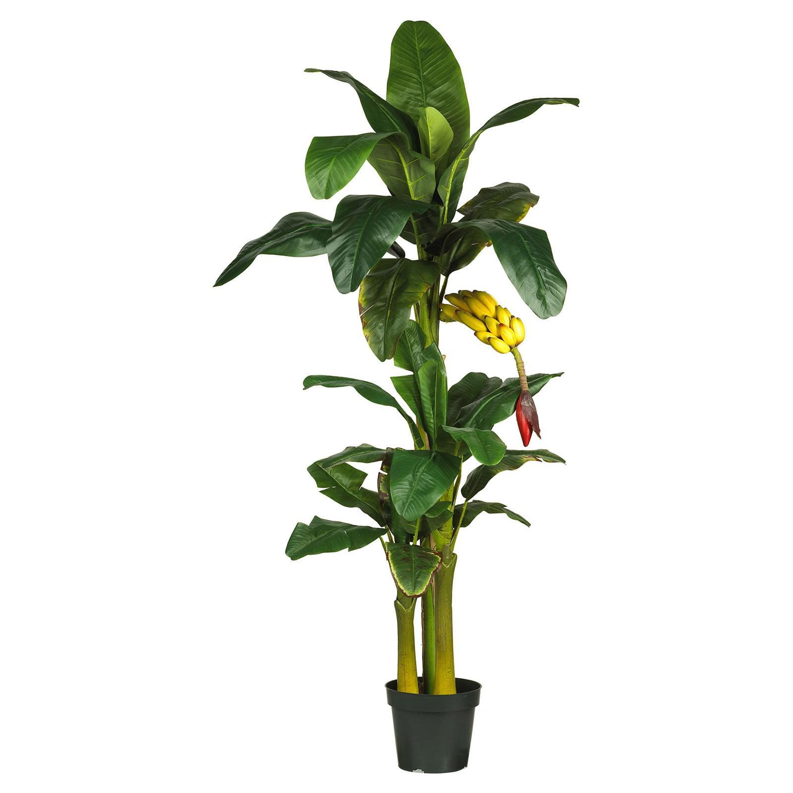 6ft Green Silk and Plastic Triple Stalk Banana Tree