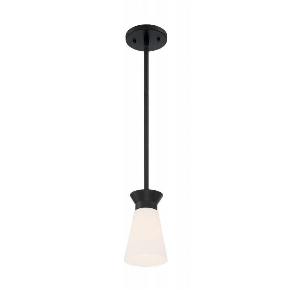 Black Mini Pendant Light with Frosted Glass Shade