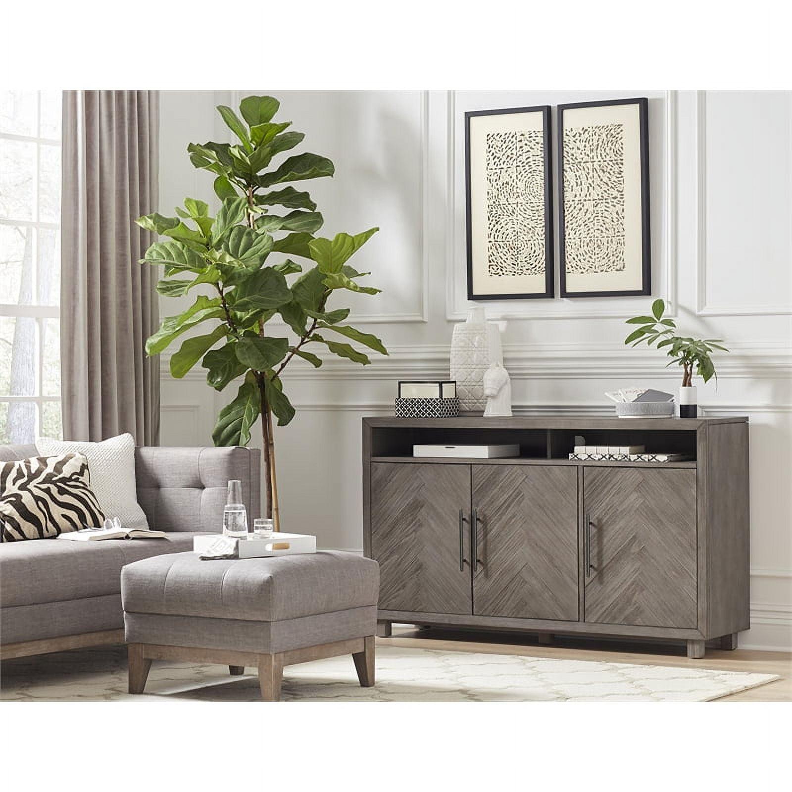 Palisades Transitional 60" Gray TV Console with Herringbone Doors