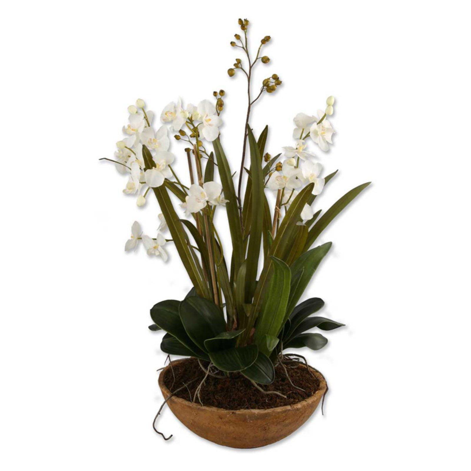 Contemporary Brown and White Moth Orchid 33.5" Planter