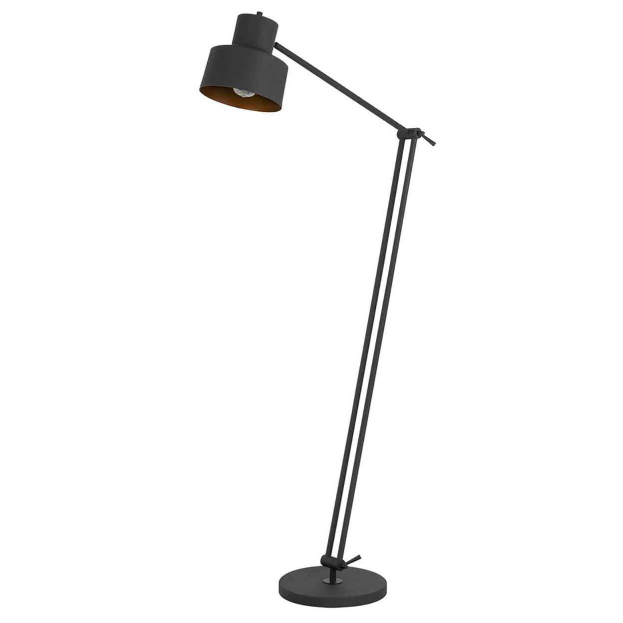 Davidson Adjustable Matte Black Metal Floor Lamp with Circular Shade