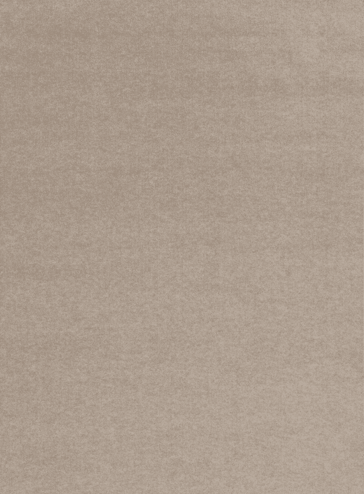 Taupe Rectangular Synthetic Indoor/Outdoor Area Rug 6' x 8'