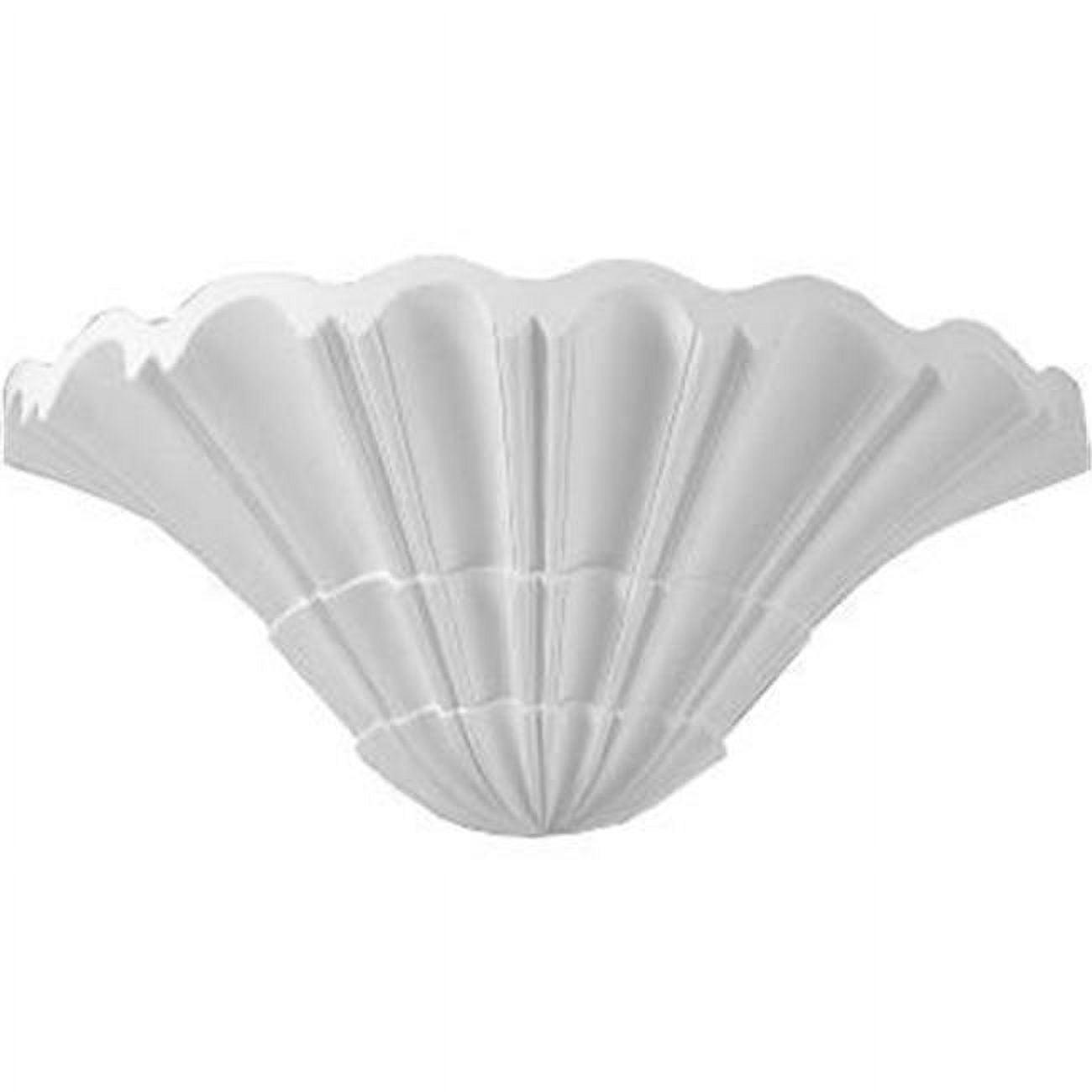 Sea Shell Sconce